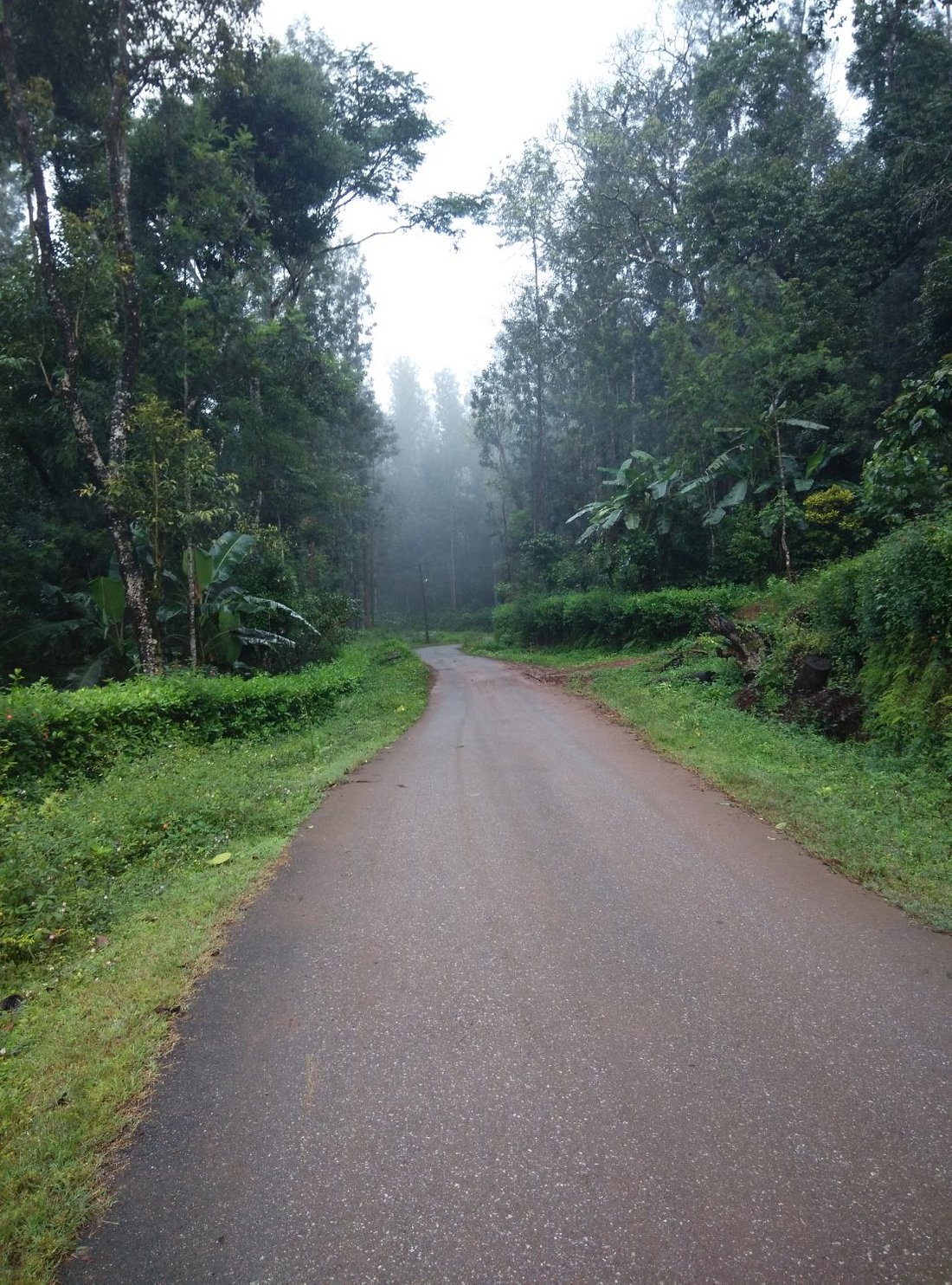 homestay in chikmagalur